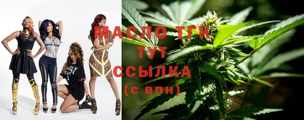 ECSTASY Алзамай