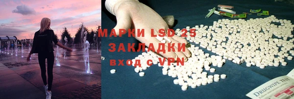 ECSTASY Алзамай