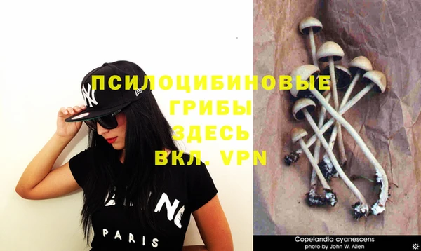 мяу мяу кристалл Абдулино