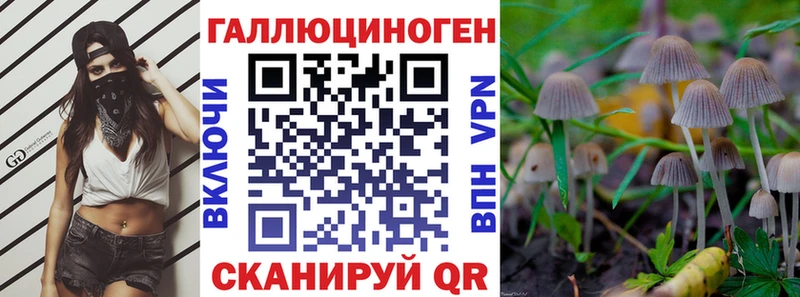Галлюциногенные грибы Psilocybine cubensis  Ливны 